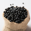 Wholesale Green Food Black Kidney Beans High Quality