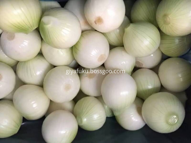 Onion-1