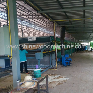 Mix woods Plywood Veneer Drying Equipment