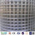 Galvanized Welded Wire Mesh For Construction