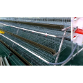 H type automatic broiler cage system