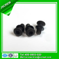 Torx Flat Head Black Anti-Theft Screw