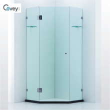 10mm Glass Thickness Shower Enclosure/Shower Door (Cvp063)