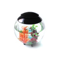 Mini-table personnalisée Aquarium acrylique aquarium