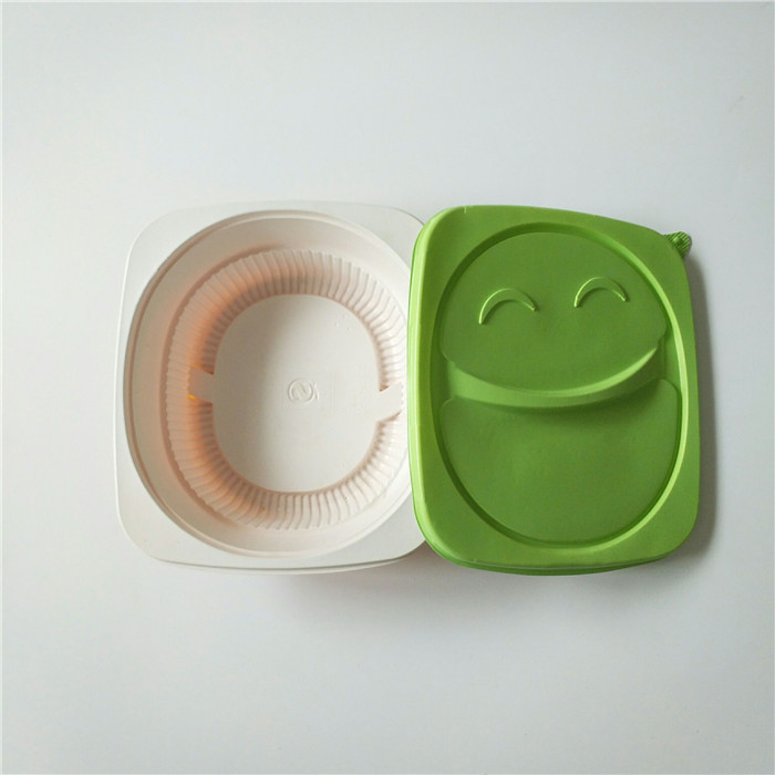 Plastic Takeaway Container