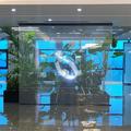 Glass Advertising Video Wall P10 Led Transparent Display