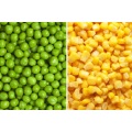 IQF Frozen Mixed Vegetables with Competitive Price