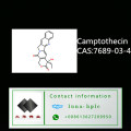 CAS: 19685-09-7 Sell High Purity 99.5% Anti Cancer Material Camptothecin