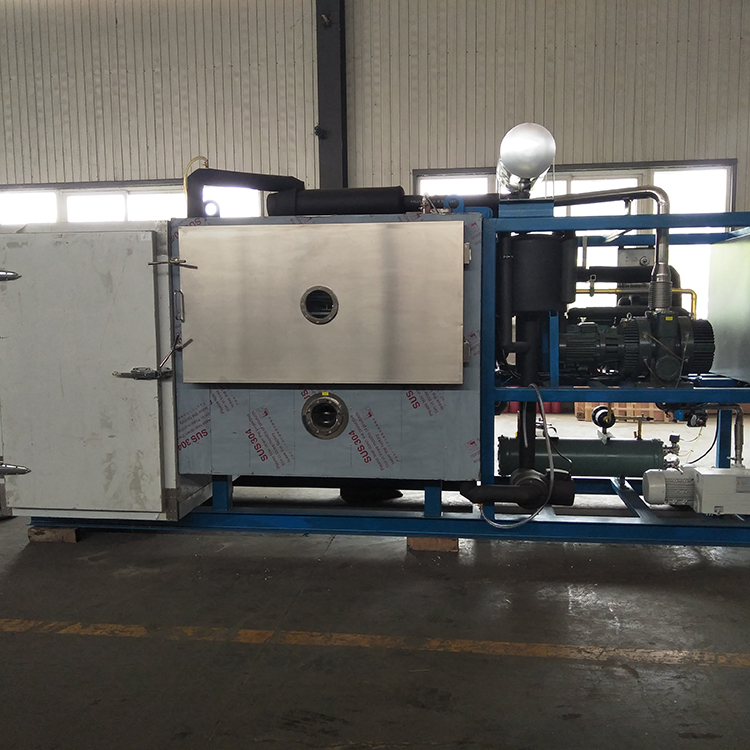 fish freeze drying machine