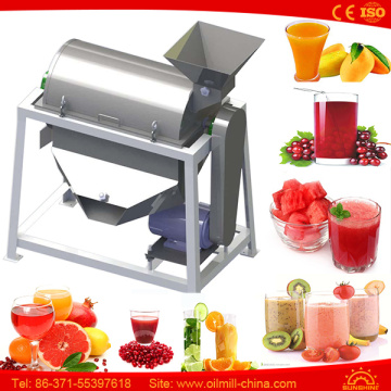 Fruit Strawberry Pomegranate Grape Tomato Mango Cherry Beating Machine