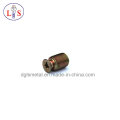 Customized Screw/Special Screw in High Quality