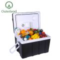 Outerlead Outdoor Mini Car Cooler Fridge with Handle