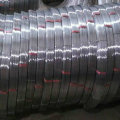 Aço de carbono alto 55 # Oval Wire