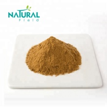 ganoderma lucidum extract reishi mushroom powder