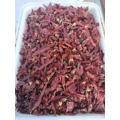 High Quality Sweet Paprika for Mexico and USA