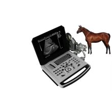 Notebook B Ultrasound Scanner for Sheep Pig Horse