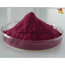 Natural Acai Berry Extract Powder