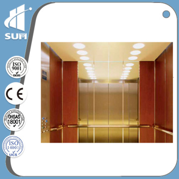 Luxury Decoration Home Elevator of Capacity 250kg