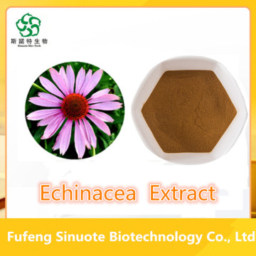 Echinacea Extrato em pó de alta qualidade 4% ácido cicórico