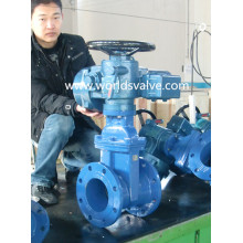 Ductile Iron Gate Valve with Electrical Actuator