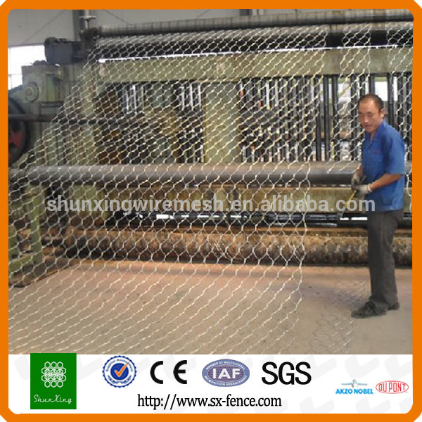 gabion 2.jpg