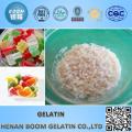 Edible Gelatin for Food Industry