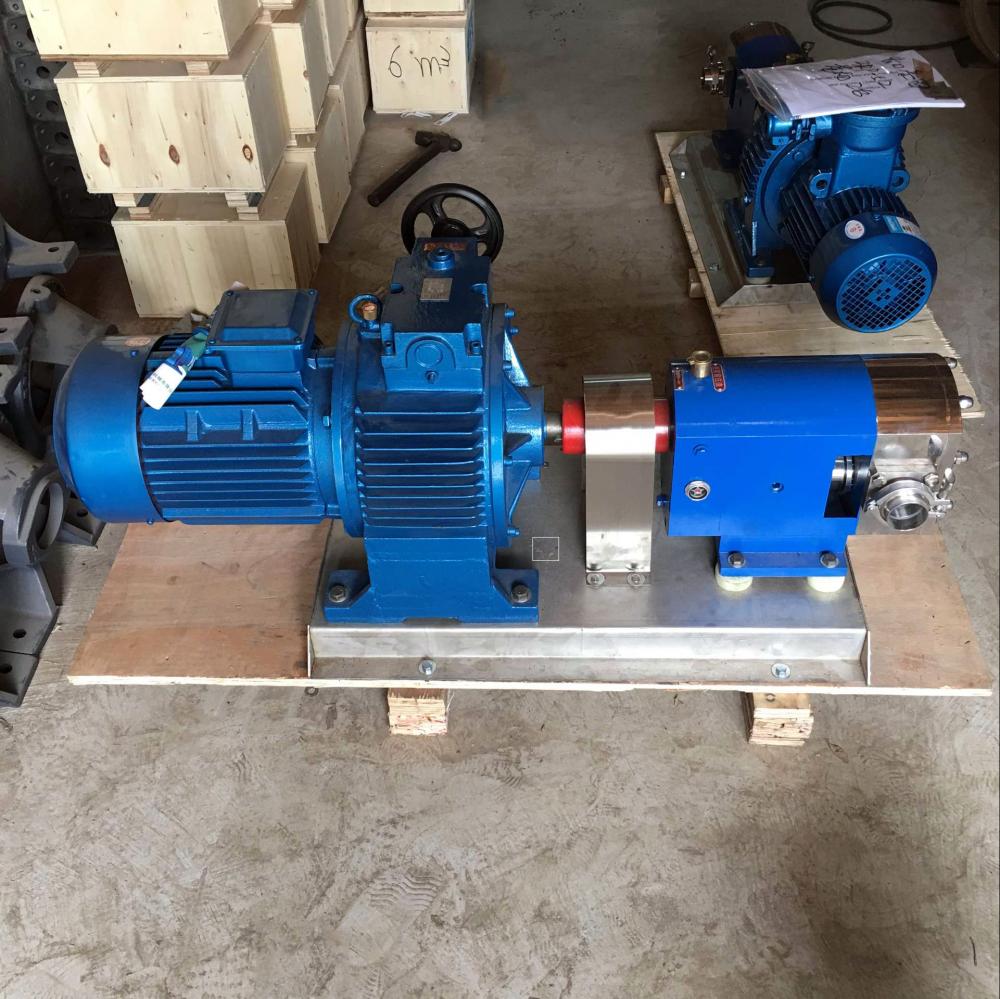 rotary lobe pump