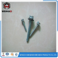 Auto tornillo cabeza hexagonal acero inoxidable