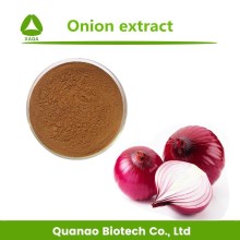High Quality Onion Extract Powder 10:1 Price