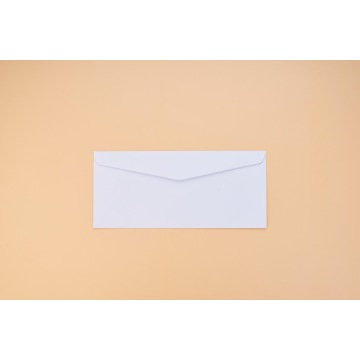 White Commercial Paper Envelope