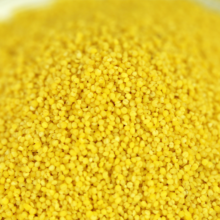 Yellow Hulled Millet