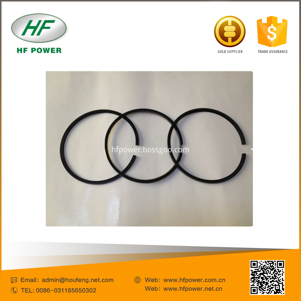 PISTON RING(1)