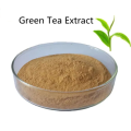 Extrait de thé vert de qualité supérieure Pilules de poudre Privilèges