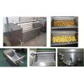 Bush Washer for Apple Carrot Ginger Commercial Vegetable Washer