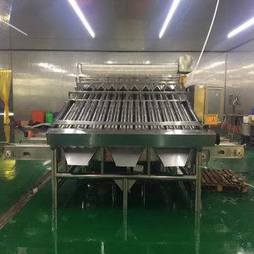 Automatic 6 Sizes Shrimp Grader Sorter