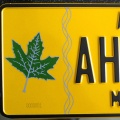 Daoming Car License Plate