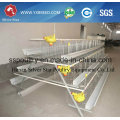 Four Tiers Full Automatic Layer Cage