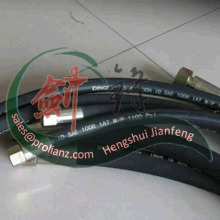 Best Selling Hydraulic Hose to Myanmar