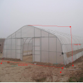 Gothic Arch Plastic Tunnel Greenhouse