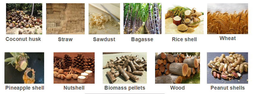 biomass material