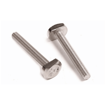 Stainless Steel T Head Bolt