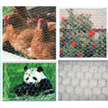 2015 Hot Sale Hexagonal Wire Mesh/Chicken Mesh