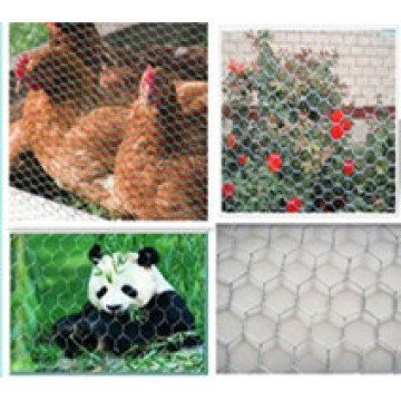 2015 Hot Sale Hexagonal Wire Mesh/Chicken Mesh