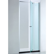 6mm Glass Thickness Simple Glass Door / Shower Screen (Cvp025-03)