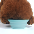 Vente en gros Économisez de l&#39;espace Silicone Pet Bowl Travel Bowl