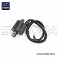 Am6 engine Ignition Coil(P/N:ST03006-0009) top quality