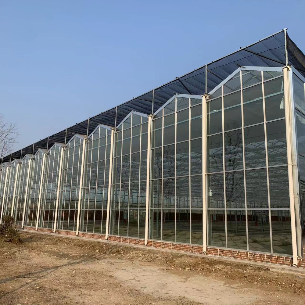 Greenhouse with External Shading Greenhouse with External Shading