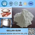 Gellan Gum for Jelly