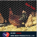 Galvanized Diamond Wire Mesh Fence Rolls