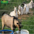 Galvanized Field Fence Sheep Farm Fence Cattle fence